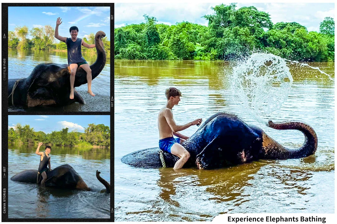 Kanchanaburi Full Day Experience: Elephants Experience Elephants Bathing & Bamboo Rafting Ticket